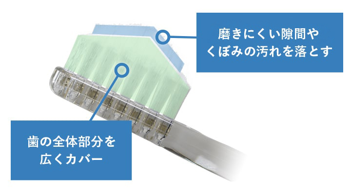 奇跡の歯ブラシの構造。歯の全体部分を広くカバーし、磨きにくい隙間やくぼみの汚れを落とす。